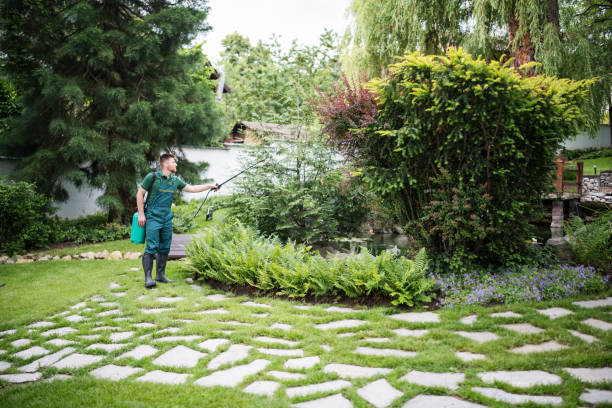 Best Mosquito Control Services  in Genoa, AR