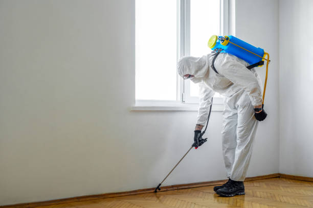 Best Pest Control Treatment  in Genoa, AR