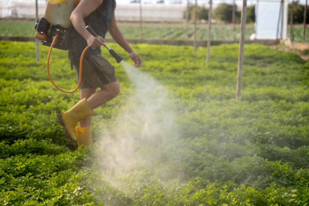 Pest Control for Restaurants in Genoa, AR