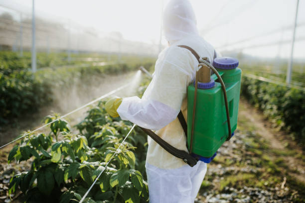 Trusted Genoa, AR Pest Control Experts